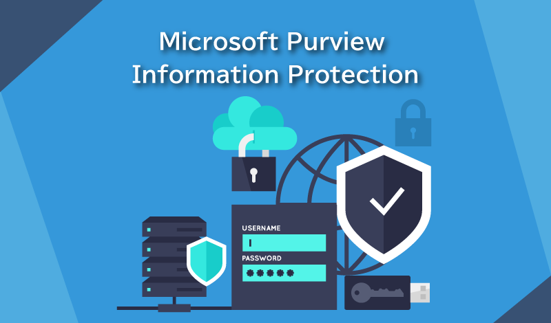 Microsoft Purview Information Protectionとは？Microsoftが提供する情報保護ソリューションについて解説します！