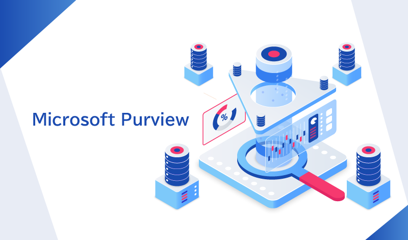 Microsoft Purview の具体的な使い方は？連携できるサービスやデータ形式まで踏み込んで解説